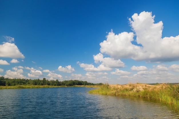 Vista del hermoso paisaje del árbol del bosque de pinos y el lago contra el cielo azul con nubes.