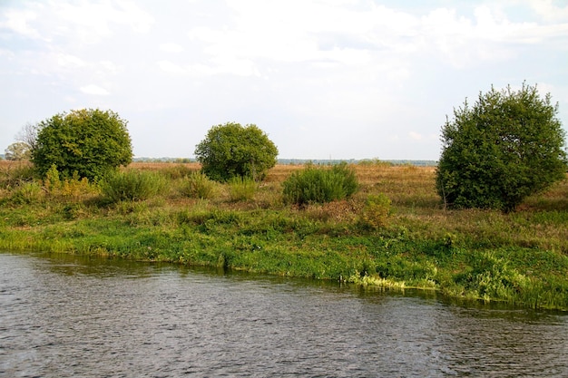 Vista del hermoso río y bosque.