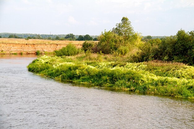 Vista del hermoso río y bosque.