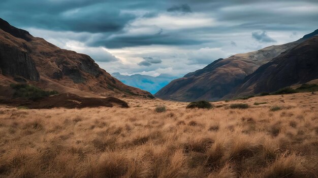 Vista de la hierba seca en un valle bajo un cielo nublado