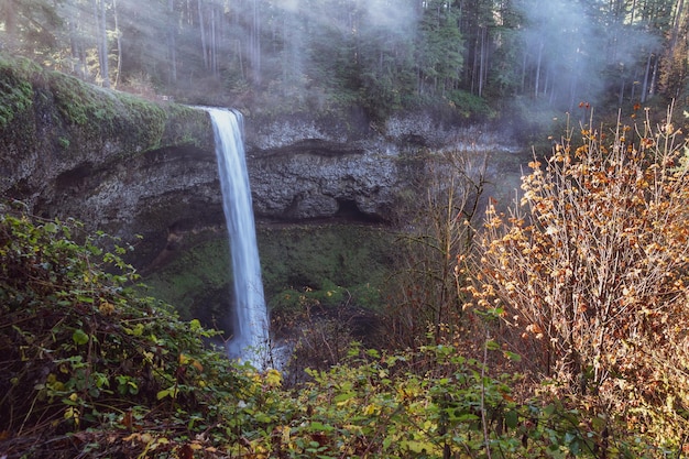 Vista hipnotizante de uma cachoeira entre as árvores no Silver Falls State Park, nos EUA