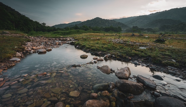 La vista horizontal del arroyo de agua dulce en las montañas