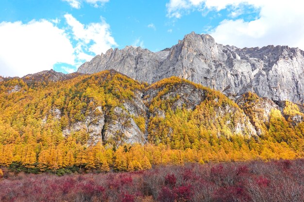 La vista horizontal en otoño en la reserva nacional de Yading, condado de Daocheng, provincia de Sichuan, China.