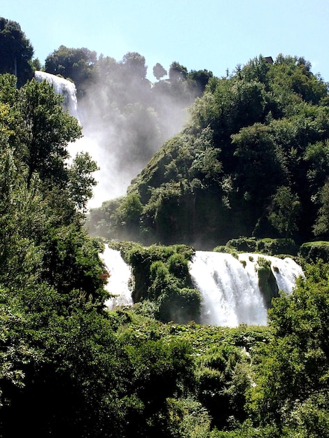 Foto vista idílica de una cascada en el bosque contra el cielo