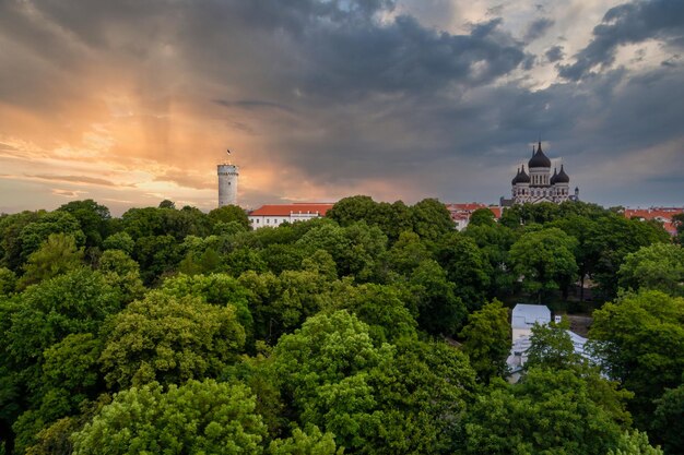 Foto vista de la iglesia y las torres de la ciudad vieja en tallin estonia