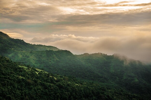 Vista de la imagen del paisaje de la niebla y la montaña de Tailandia