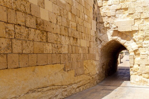 Una vista increíble de la fortaleza de piedra medieval con una hermosa plantación verde en Malta.