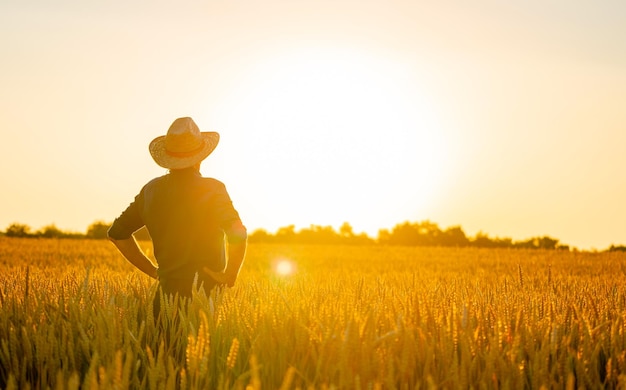 Foto vista incrível com o homem de pé atrás da câmera o fazendeiro verifica a colheita orgânica natural à luz do sol