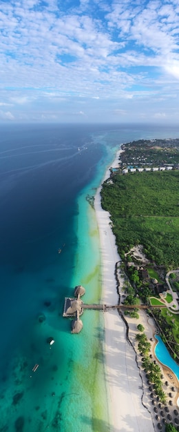 Vista incrível de pássaros em Zanzibar