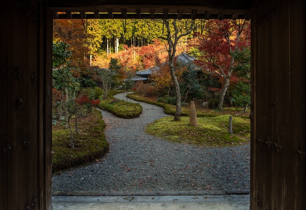 Vista incrível de um jardim japonês no outono, folhas coloridas.