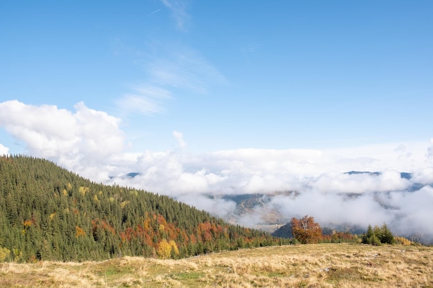 Vista incrível do pico às montanhas nas nuvens ao nascer do sol no outono Bela paisagem com céu da floresta dos Cárpatos ucranianos