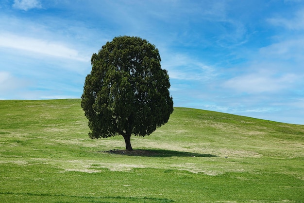 Vista incrível