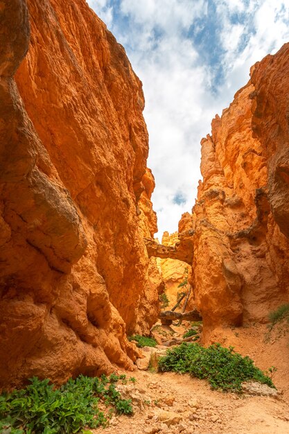 Vista inferior del cañón de las montañas rocosas