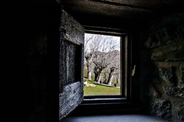 Vista interior da janela de uma casa rústica para um belo jardim com árvores.