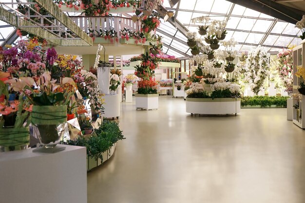 Vista interior da loja de flores