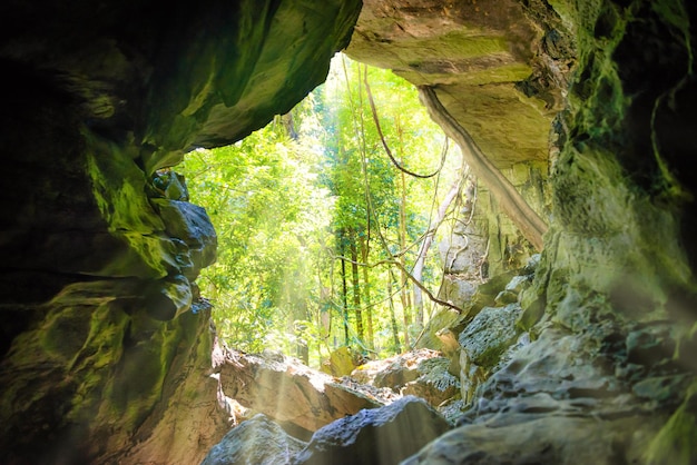 Vista desde el interior hasta la entrada de la cueva natural y el bosque verde detrás