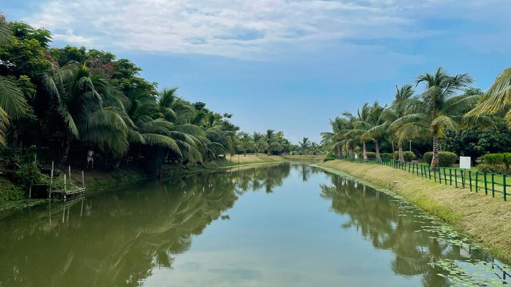 Vista interior del parque ecológico ubicado en Calcuta, Bengala Occidental, India