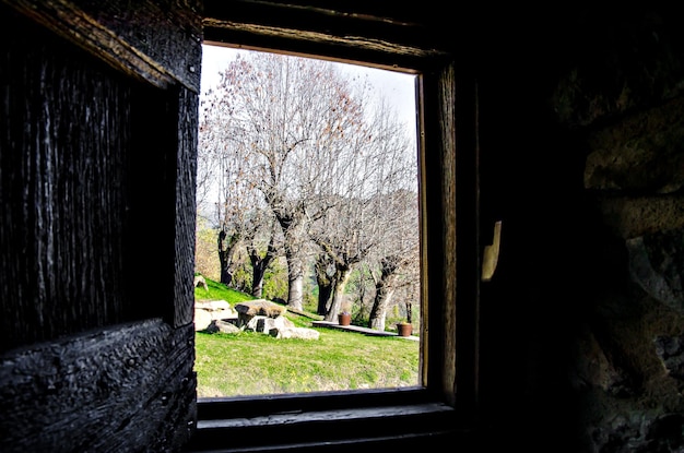 Vista interior desde la ventana de una casa rústica hacia un hermoso jardín con árboles.