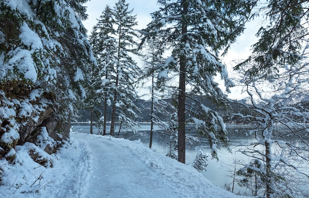 Vista invernal del lago Eibsee, Baviera, Alemania.