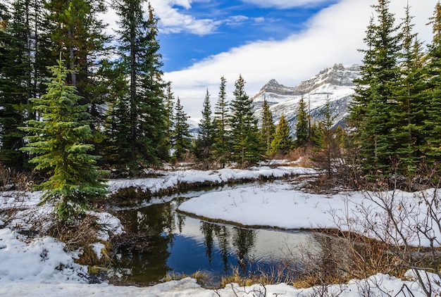 Vista de invierno del lago Bow en el Parque Nacional Banff, Alberta, Canadá