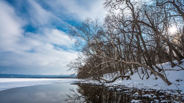 Vista de invierno de nieve derretida