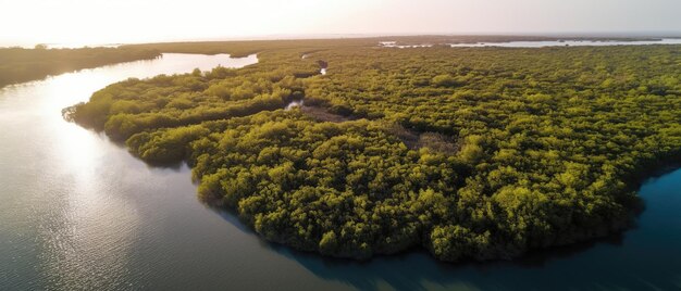 Vista de la isla en medio del mar con agua azul clara y palmeras verdes Vista aérea Toma panorámica IA generativa