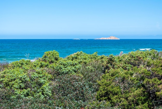 Vista de la Isla Roja desde la playa de Badesi