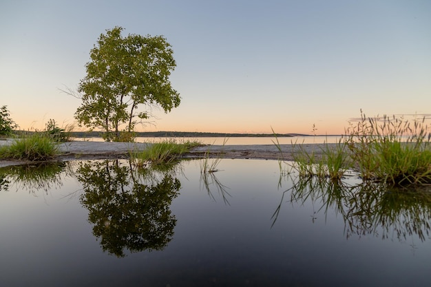 vista de los islotes de Ladoga al atardecer en la república de karelia. foto de alta calidad