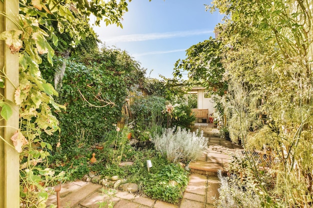 Una vista de un jardín con árboles y una casa.