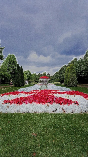 Foto vista de un jardín formal con árboles contra las nubes