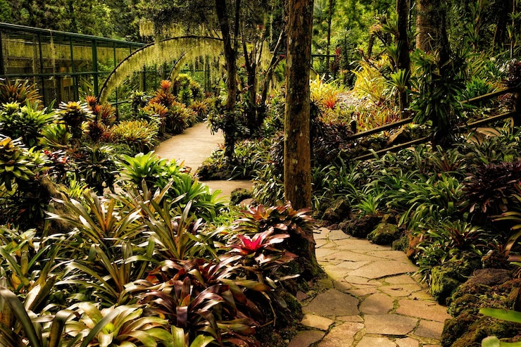 Foto vista del jardín formal
