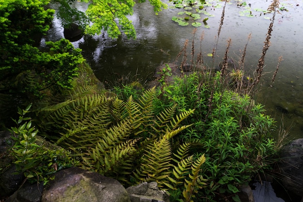 Una vista desde el jardín verde Tennoji Keitakuen