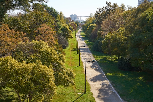 Vista de los jardines del parque turia valenciano.