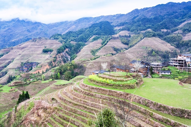 Vista de jardines en terrazas en el país de Dazhai