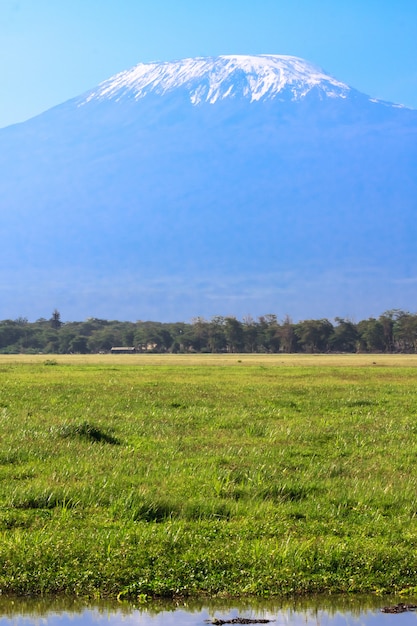 Vista del Kilimanjaro desde la sabana