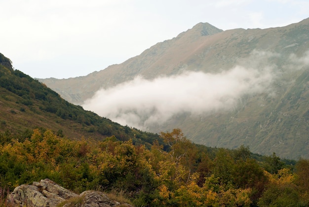 La vista desde la ladera cubierta de árboles y arbustos de otoño de la montaña