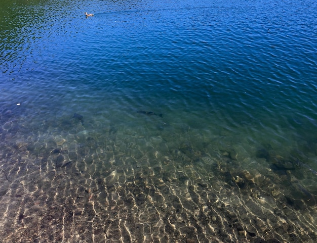 Foto vista del lago desde un ángulo alto