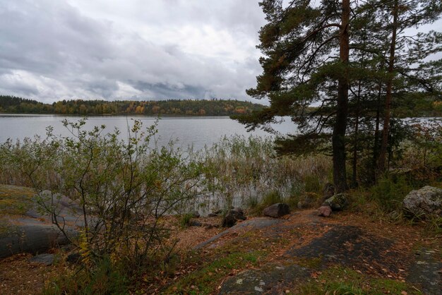 Vista del lago Ladoga cerca del pueblo Lumivaara en un día nublado de otoño Ladoga skerries República de Karelia Rusia
