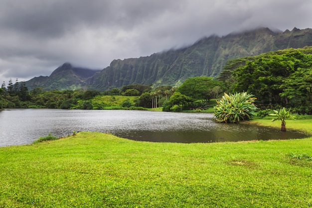 Foto vista del lago y las montañas en el jardín botánico de hoomaluhia, isla de oahu, hawaii