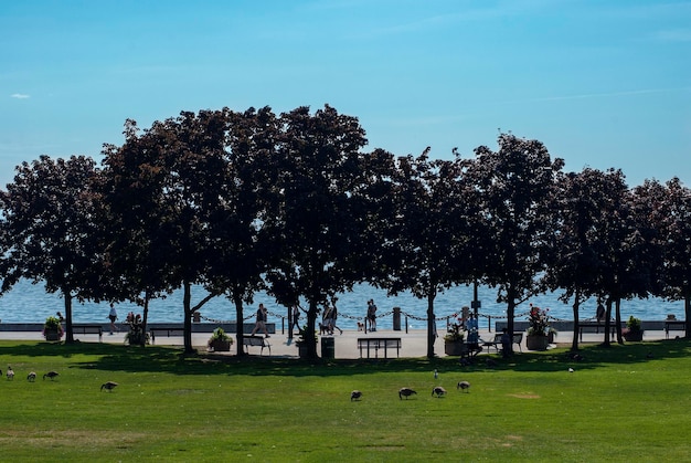 Una vista del lago desde el parque Spencer Smith en Burlington en Canadá.