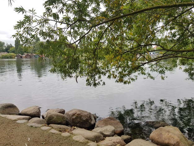 Una vista del lago desde el parque.