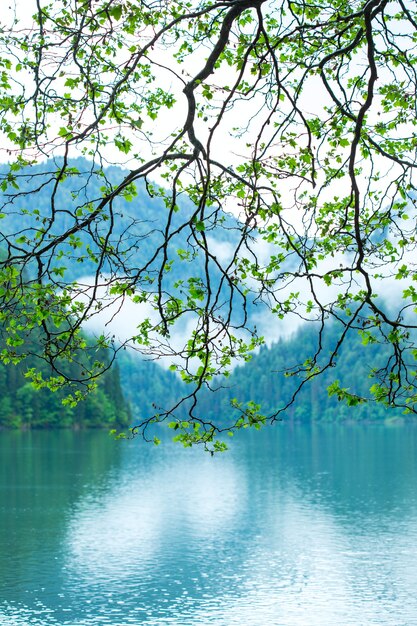 Foto vista del lago riza. abjasia.