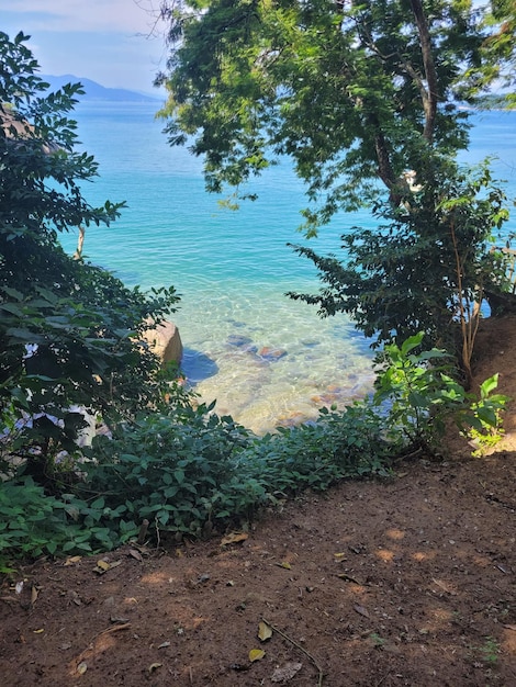 Una vista del lago desde el sendero.