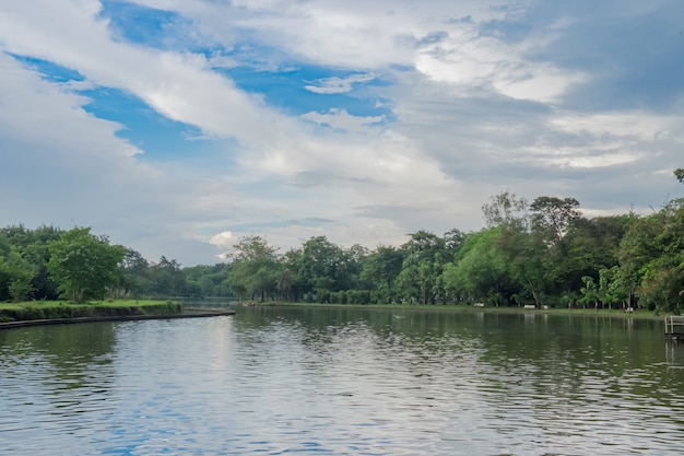 Vista de a con el lago y tres con color azul del cielo nublado escena hermosa del paisaje.