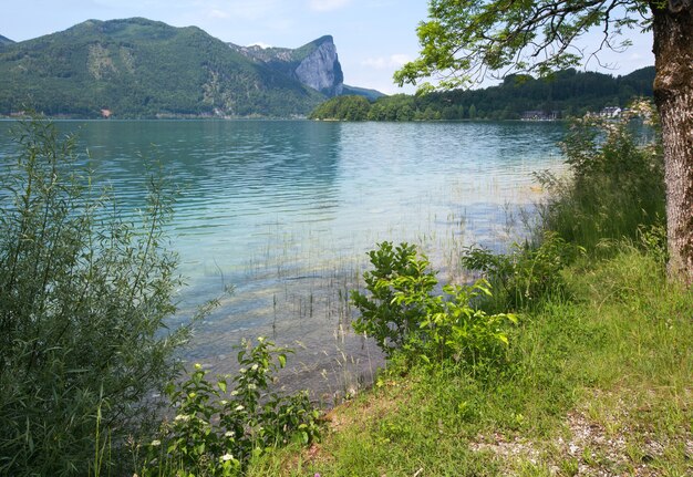 Foto vista del lago de verano de mondsee (austria).