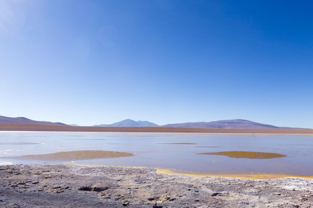 Vista laguna bolivianaBolivia Kollpa Kkota vista laguna Collpa Laguna