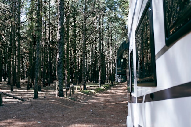 Vista lateral de la camioneta de campamento estacionamiento dentro del parque natural de bosques de bosque Viajes y vacaciones destino concepto de transporte Alquiler de camioneta para disfrutar de la naturaleza y la libertad