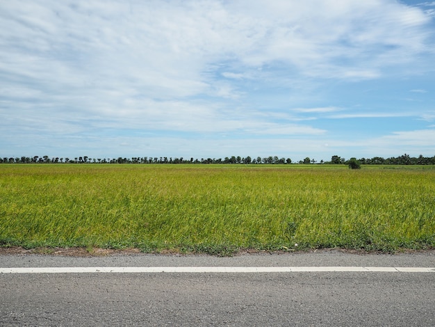 Foto vista lateral en campo de whit campo de la carretera