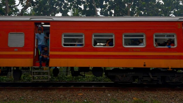 Foto vista lateral de um trem carregando turistas em um dia de verão ação antigo trem e vegetação verde redonda