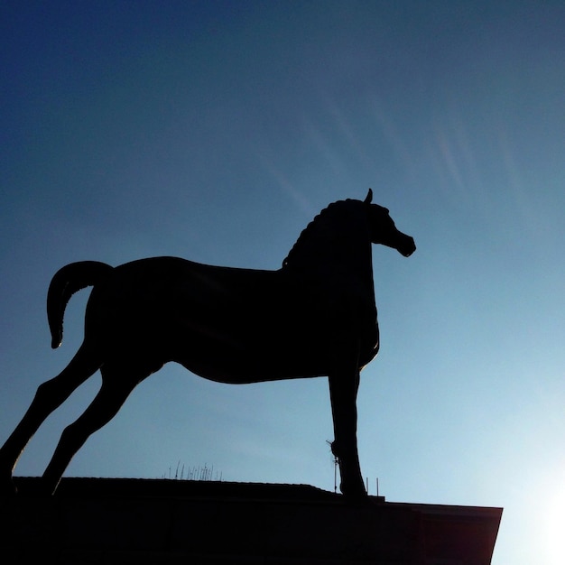 Foto vista lateral de uma estátua de animal em silhueta contra um céu azul claro